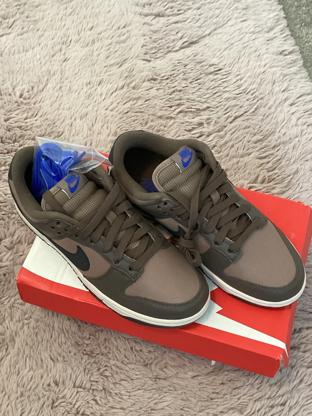Nike Brown and Black Low-Top Sneakers with Blue Accents